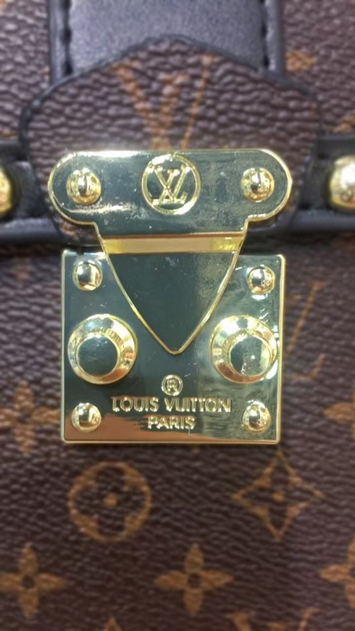 hortory louis vuitton iphone case bag