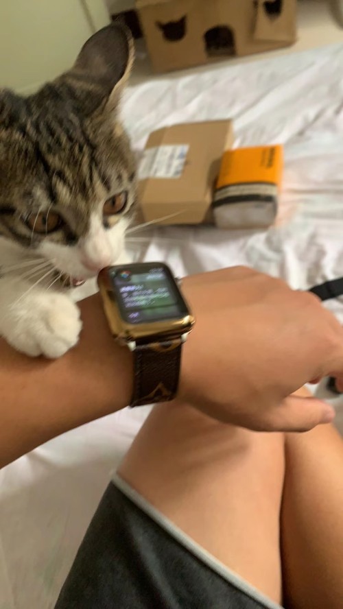 hortory designer luxury watch band