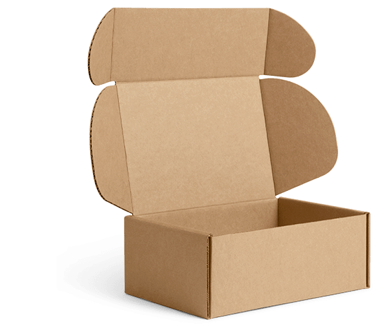 What's in the box